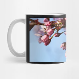 Cherry Tree Buds Mug